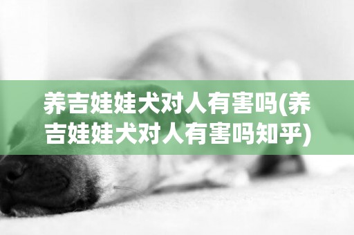 養吉娃娃犬對人有害嗎(養吉娃娃犬對人有害嗎知乎)