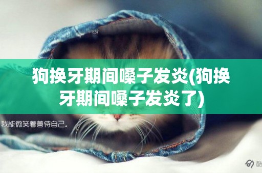 狗換牙期間嗓子發炎(狗換牙期間嗓子發炎了)