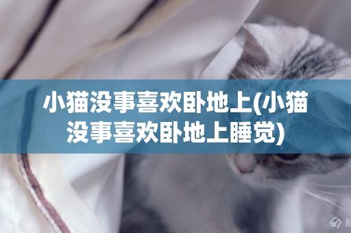 小貓沒事喜歡臥地上(小貓沒事喜歡臥地上睡覺)