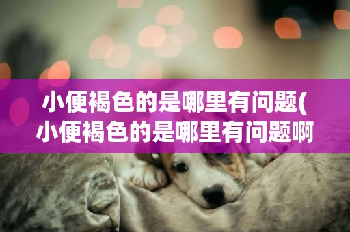 小便褐色的是哪里有問題(小便褐色的是哪里有問題啊)