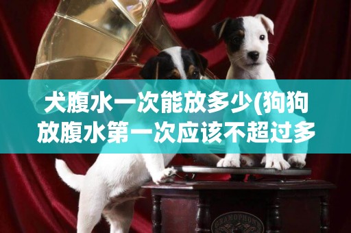 犬腹水一次能放多少(狗狗放腹水第一次應該不超過多少)