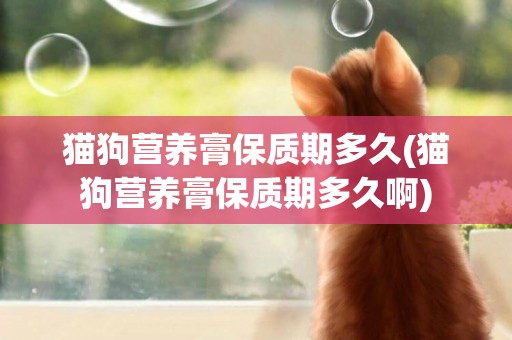 貓狗營養膏保質期多久(貓狗營養膏保質期多久啊)