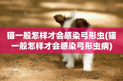 貓一般怎樣才會感染弓形蟲(貓一般怎樣才會感染弓形蟲病)
