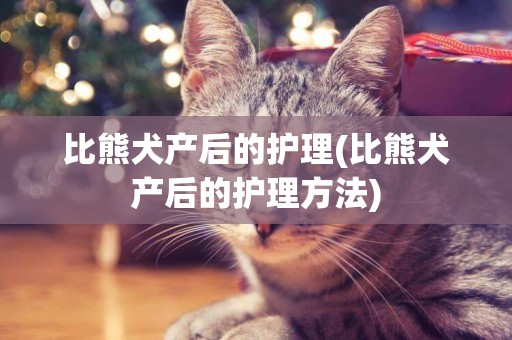 比熊犬產后的護理(比熊犬產后的護理方法)