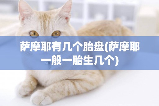 薩摩耶有幾個胎盤(薩摩耶一般一胎生幾個)