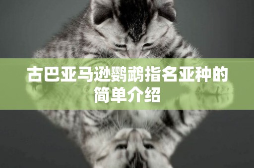 古巴亞馬遜鸚鵡指名亞種的簡單介紹