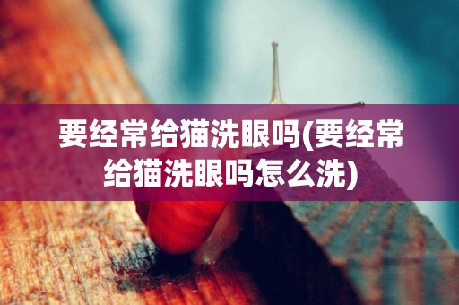 要經常給貓洗眼嗎(要經常給貓洗眼嗎怎么洗)