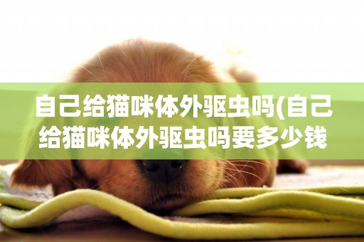 自己給貓咪體外驅蟲嗎(自己給貓咪體外驅蟲嗎要多少錢)