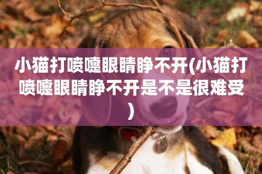 小貓打噴嚏眼睛睜不開(小貓打噴嚏眼睛睜不開是不是很難受)