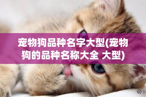寵物狗品種名字大型(寵物狗的品種名稱大全 大型)
