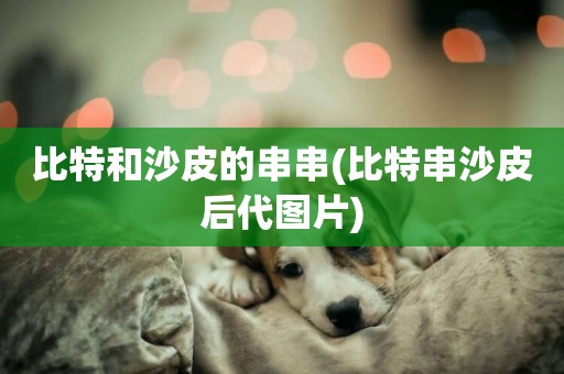 比特和沙皮的串串(比特串沙皮后代圖片)