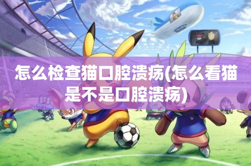 怎么檢查貓口腔潰瘍(怎么看貓是不是口腔潰瘍)