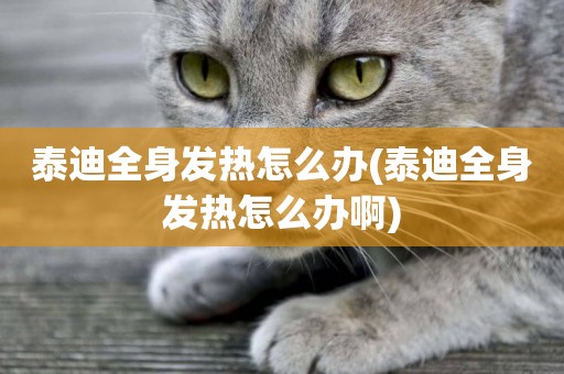 泰迪全身發熱怎么辦(泰迪全身發熱怎么辦啊)