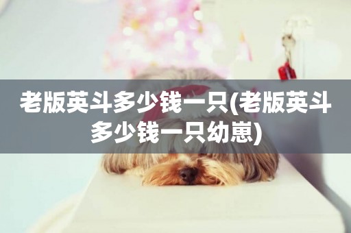 老版英斗多少錢一只(老版英斗多少錢一只幼崽)