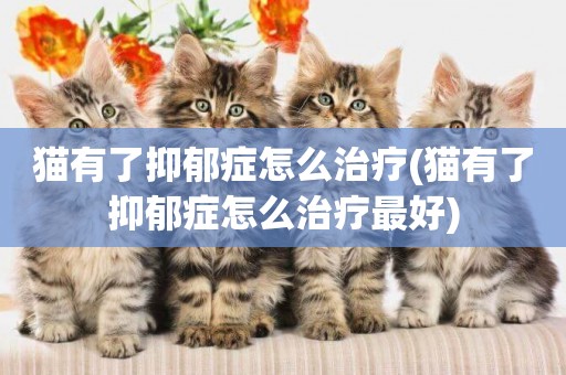 貓有了抑郁癥怎么治療(貓有了抑郁癥怎么治療最好)