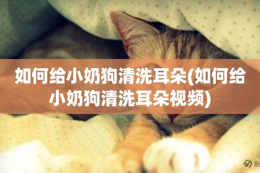 如何給小奶狗清洗耳朵(如何給小奶狗清洗耳朵視頻)