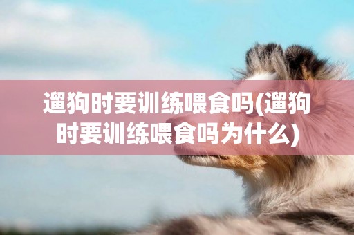 遛狗時要訓練喂食嗎(遛狗時要訓練喂食嗎為什么)