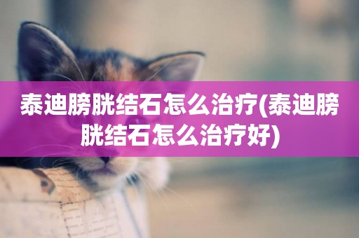 泰迪膀胱結石怎么治療(泰迪膀胱結石怎么治療好)