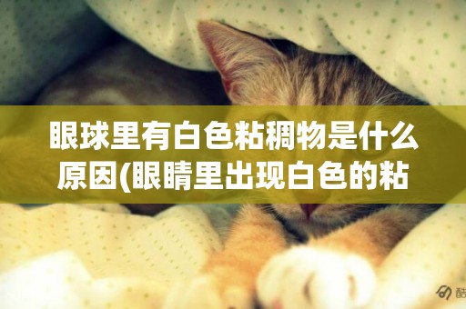 眼球里有白色粘稠物是什么原因(眼睛里出現白色的粘稠的分泌物是什么)