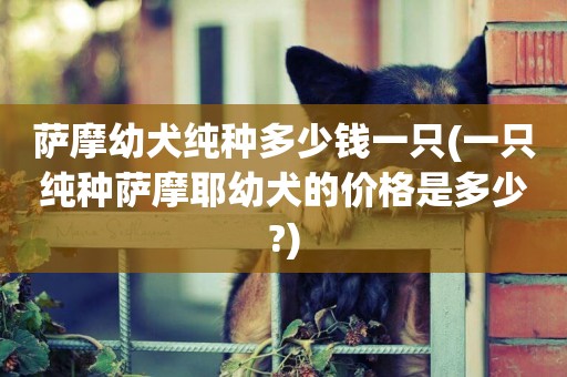 薩摩幼犬純種多少錢一只(一只純種薩摩耶幼犬的價格是多少?)
