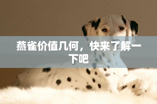 燕雀價值幾何,快來了解一下吧 燕雀價值幾何,快來了解一下吧