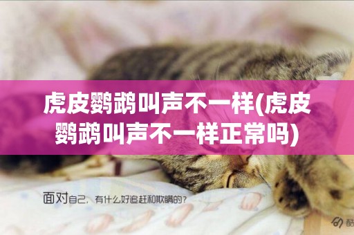 虎皮鸚鵡叫聲不一樣(虎皮鸚鵡叫聲不一樣正常嗎)