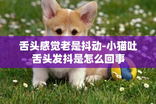 舌頭感覺老是抖動-小貓吐舌頭發抖是怎么回事