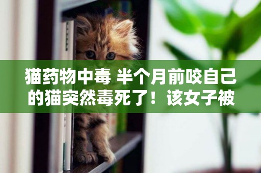 貓藥物中毒 半個月前咬自己的貓突然毒死了！該女子被發現感染該病毒，為中國首例 