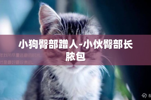 小狗臀部蹭人-小伙臀部長膿包