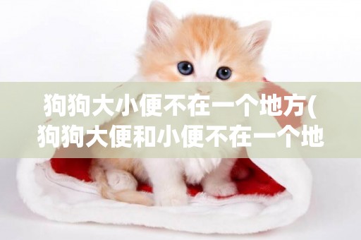 狗狗大小便不在一個地方(狗狗大便和小便不在一個地方怎么辦)