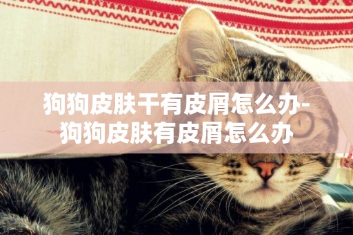 狗狗皮膚干有皮屑怎么辦-狗狗皮膚有皮屑怎么辦