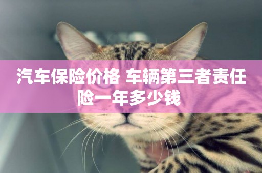 汽車保險價格 車輛第三者責任險一年多少錢 