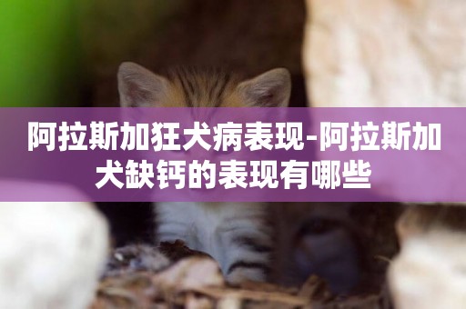 阿拉斯加狂犬病表現-阿拉斯加犬缺鈣的表現有哪些