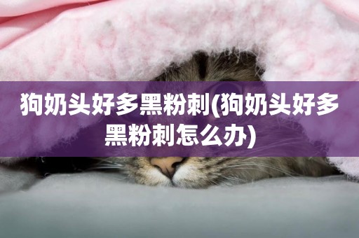 狗奶頭好多黑粉刺(狗奶頭好多黑粉刺怎么辦)