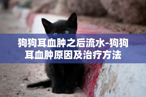 狗狗耳血腫之后流水-狗狗耳血腫原因及治療方法