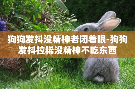 狗狗發抖沒精神老閉著眼-狗狗發抖拉稀沒精神不吃東西