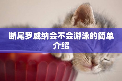 斷尾羅威納會不會游泳的簡單介紹