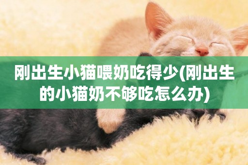 剛出生小貓喂奶吃得少(剛出生的小貓奶不夠吃怎么辦)