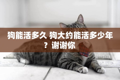 狗能活多久 狗大約能活多少年？謝謝你 