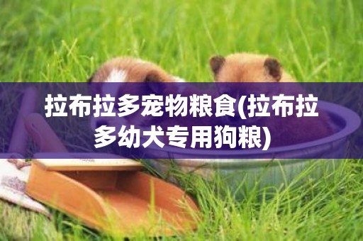 拉布拉多寵物糧食(拉布拉多幼犬專用狗糧)