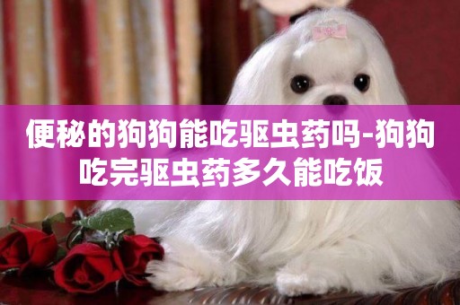 便秘的狗狗能吃驅蟲藥嗎-狗狗吃完驅蟲藥多久能吃飯
