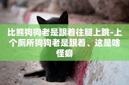 比熊狗狗老是跟著往腿上跳-上個廁所狗狗老是跟著、這是啥怪癖