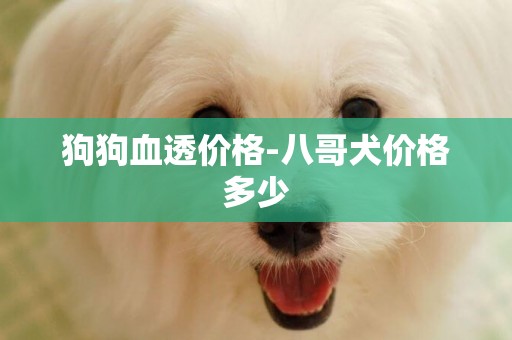 狗狗血透價格-八哥犬價格多少