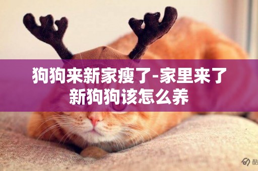 狗狗來新家瘦了-家里來了新狗狗該怎么養