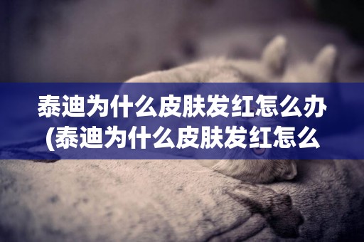 泰迪為什么皮膚發紅怎么辦(泰迪為什么皮膚發紅怎么辦呢)