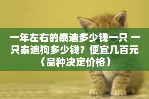 一年左右的泰迪多少錢一只 一只泰迪狗多少錢？便宜幾百元（品種決定價格） 