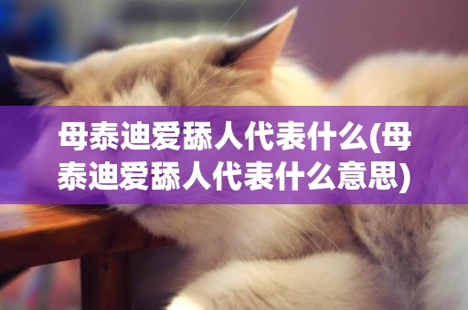 母泰迪愛舔人代表什么(母泰迪愛舔人代表什么意思)