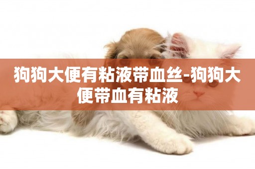 狗狗大便有粘液帶血絲-狗狗大便帶血有粘液