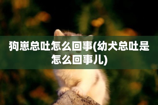 狗崽總吐怎么回事(幼犬總吐是怎么回事兒)