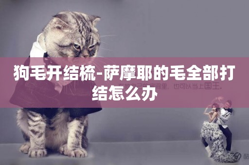 狗毛開結梳-薩摩耶的毛全部打結怎么辦
